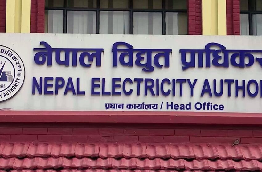  विद्युत् प्राधिकरणको नाफा ९ अर्ब ७ करोड