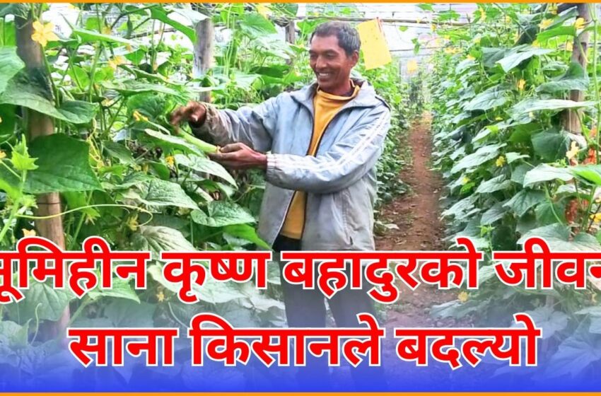  भूमिहीन कृष्ण बहादुरको जीवन साना किसानले बदल्यो