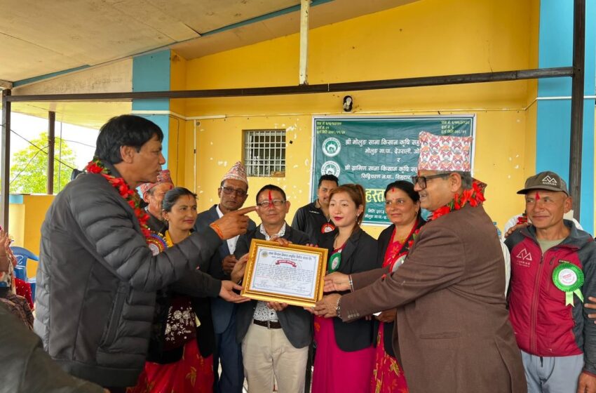  ओखलढुङ्गामा सहकारी हस्तान्तरण तथा अभिमुखीकरण कार्यक्रम सम्पन्न